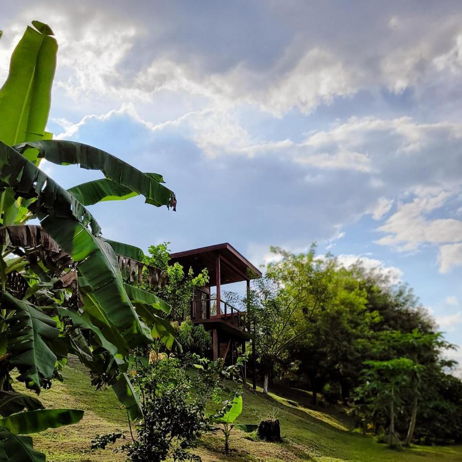 Yumas Riverfront Lodge San Ignacio Εξωτερικό φωτογραφία