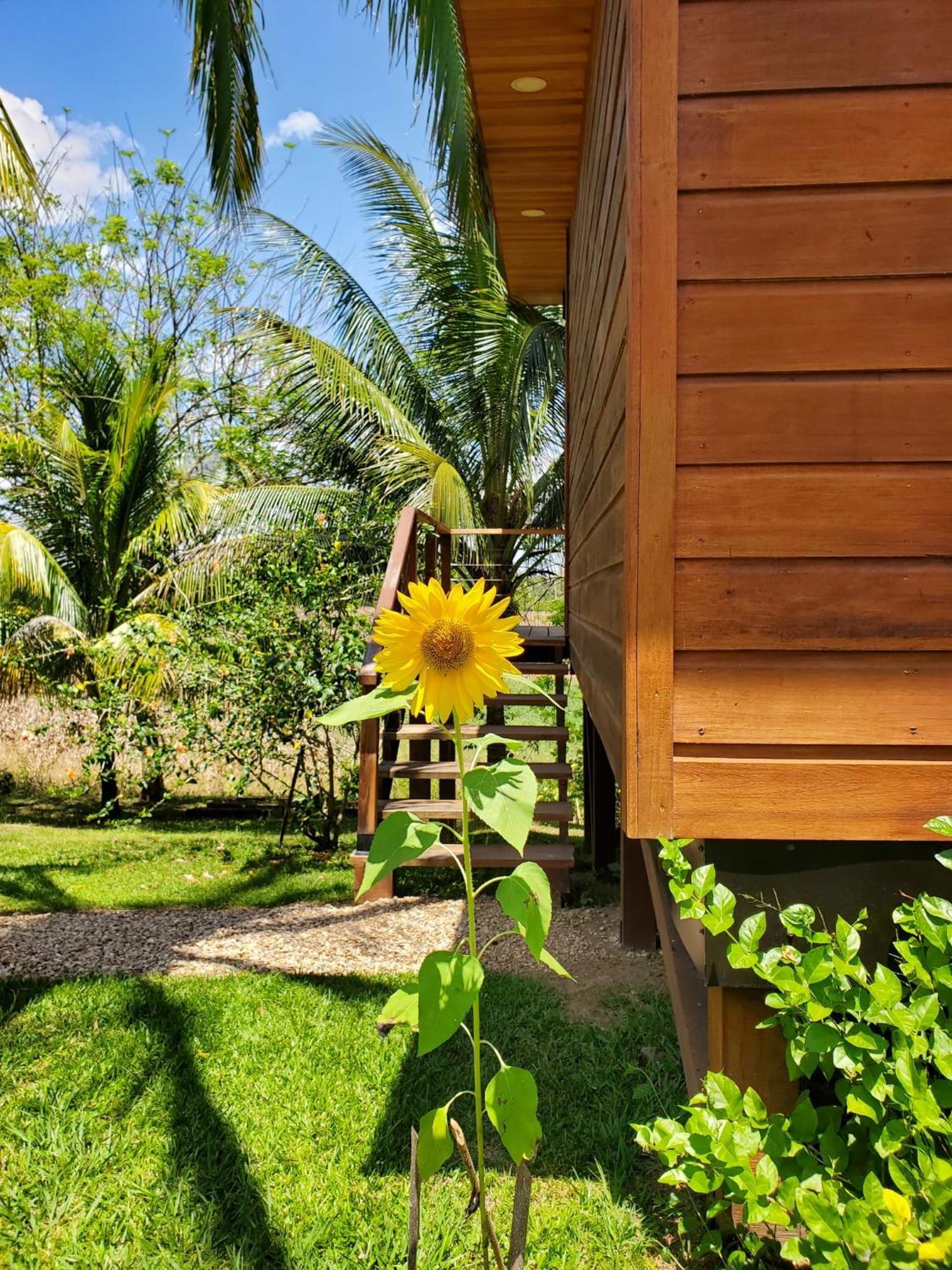Yumas Riverfront Lodge San Ignacio Εξωτερικό φωτογραφία