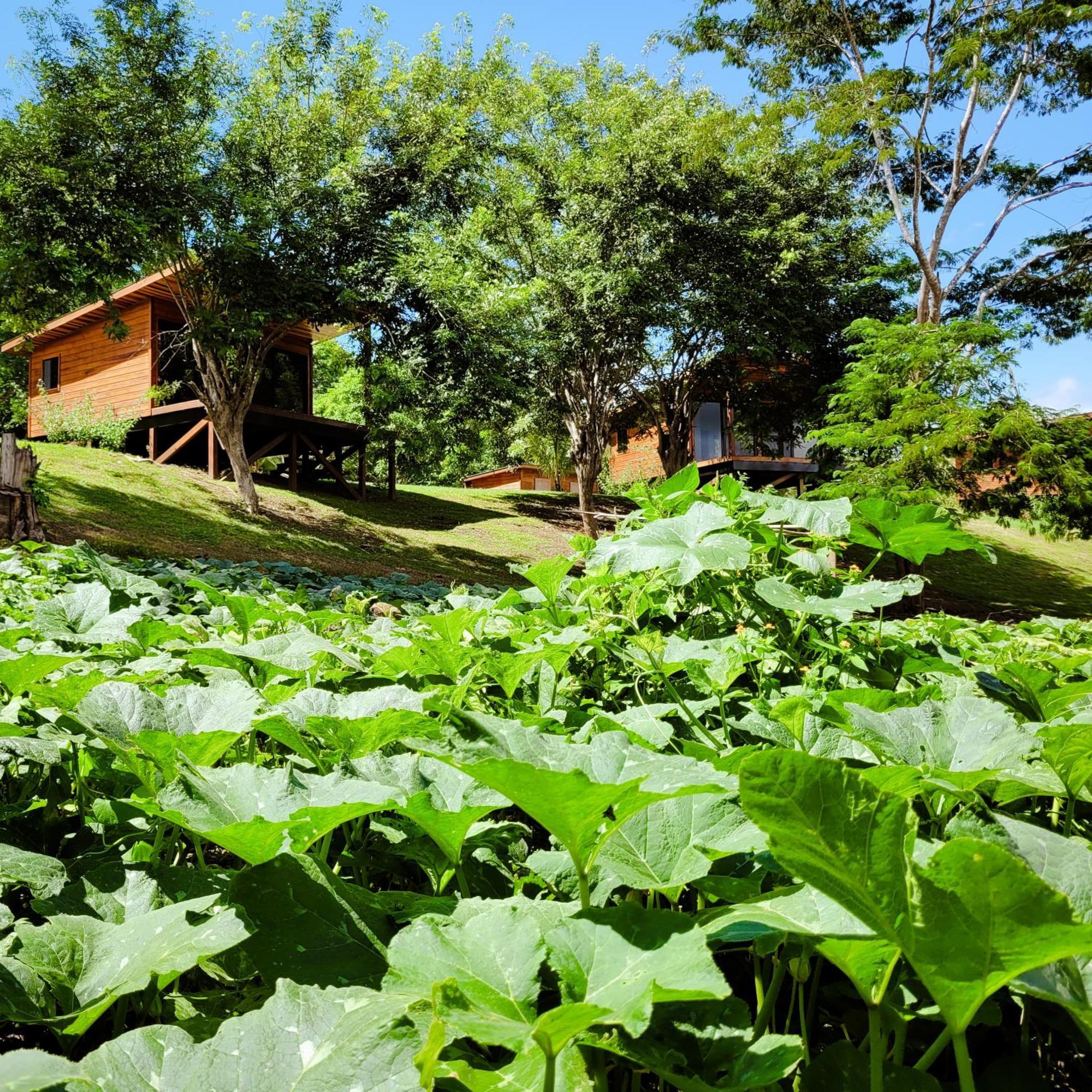 Yumas Riverfront Lodge San Ignacio Εξωτερικό φωτογραφία